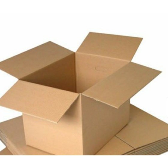 Jual KARTON PACKING (gambar sebagai ilustrasi) | Shopee Indonesia