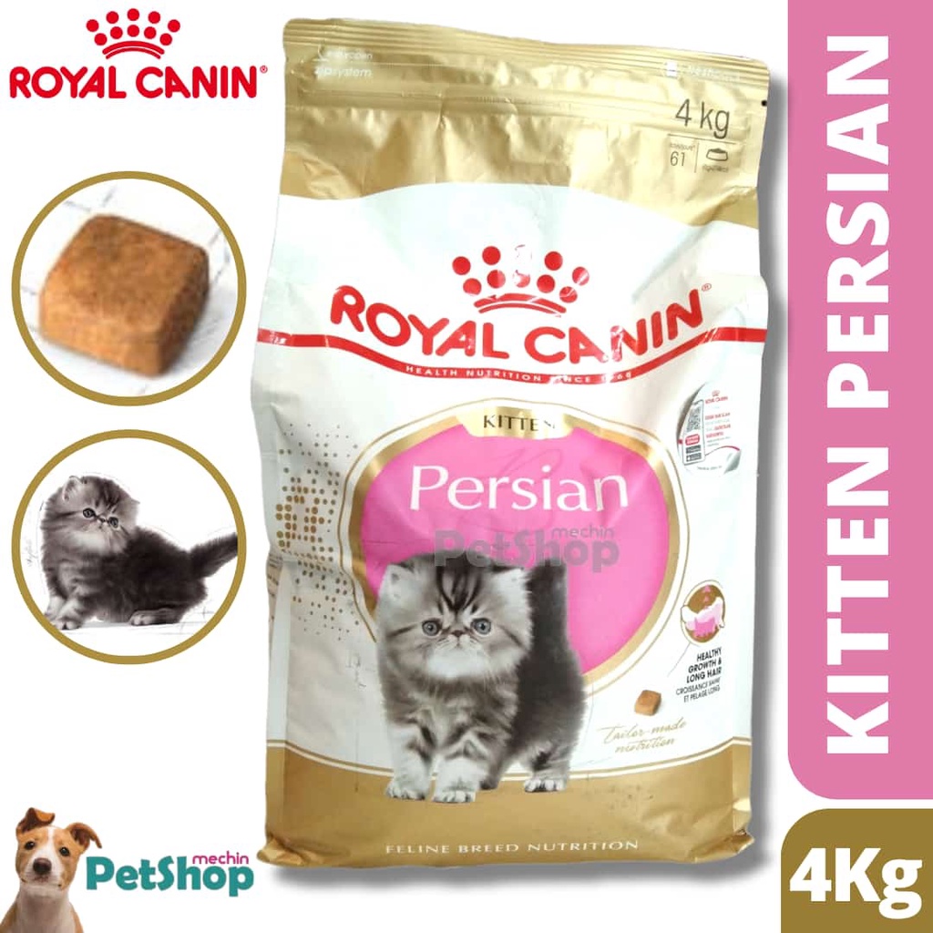 Dry food shop kitten terbaik