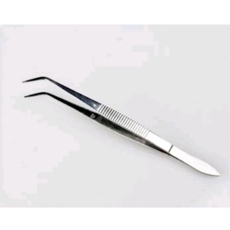Jual Pinset Gigi Stainless | Shopee Indonesia
