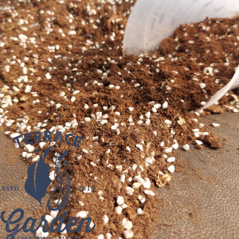 Jual Peat Moss Mix Perlite Media Tanam Shopee Indonesia