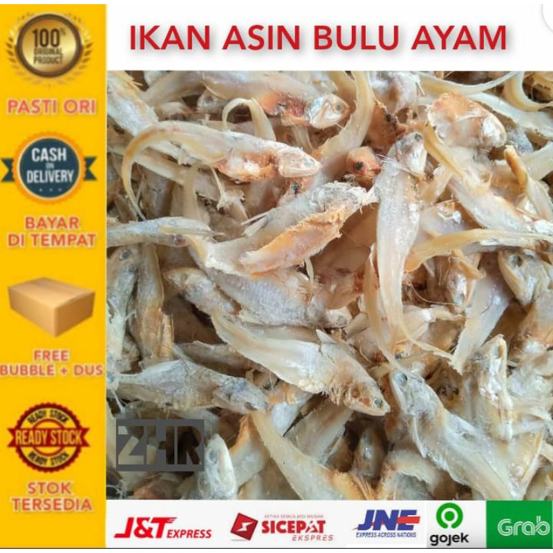 Jual IKAN ASIN BULU AYAM 250 gram | Shopee Indonesia