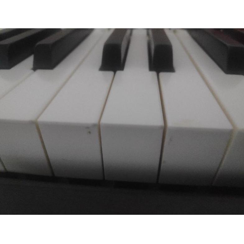 Jual [KODE PRODUK 9ALBR4094] Hammer Caps Keyboard Piano Casio / Hammer