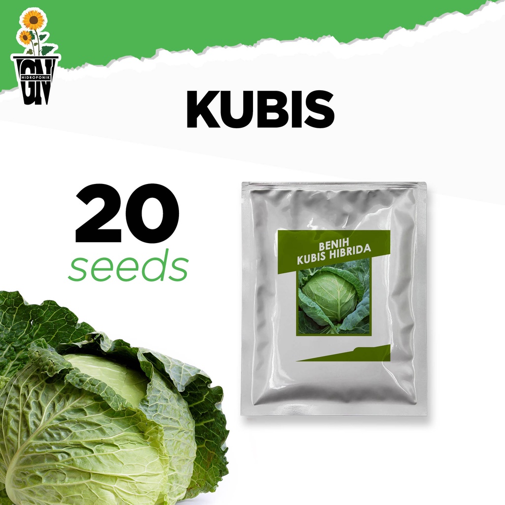 Jual Benih Super Kubis Kol Kubis Hibrida Bulat Sayur Dataran Rendah