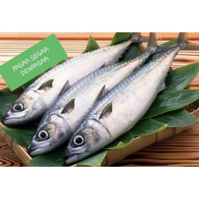 Jual Ikan Tongkol Segar 500gr Shopee Indonesia