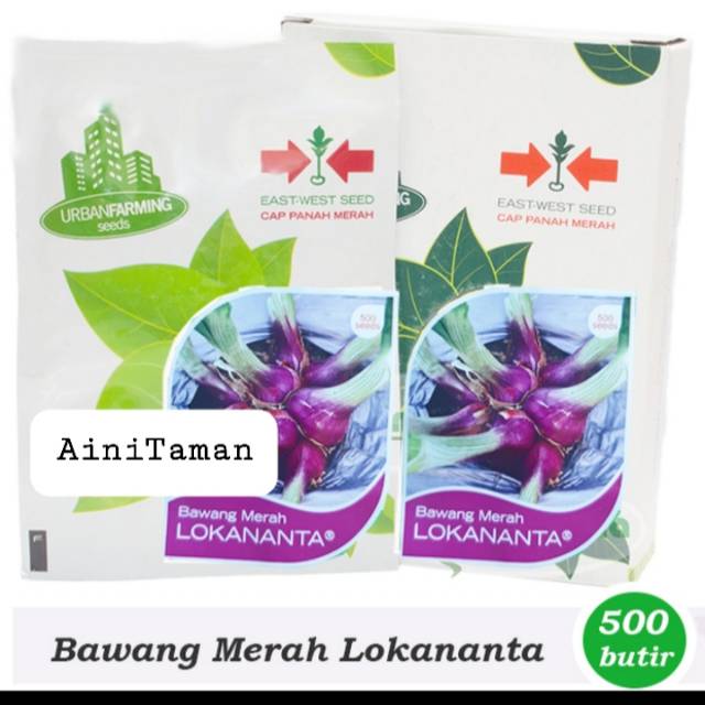 Jual Benih-Bibit Bawang Merah Lokananta (Cap Panah Merah) | Shopee ...