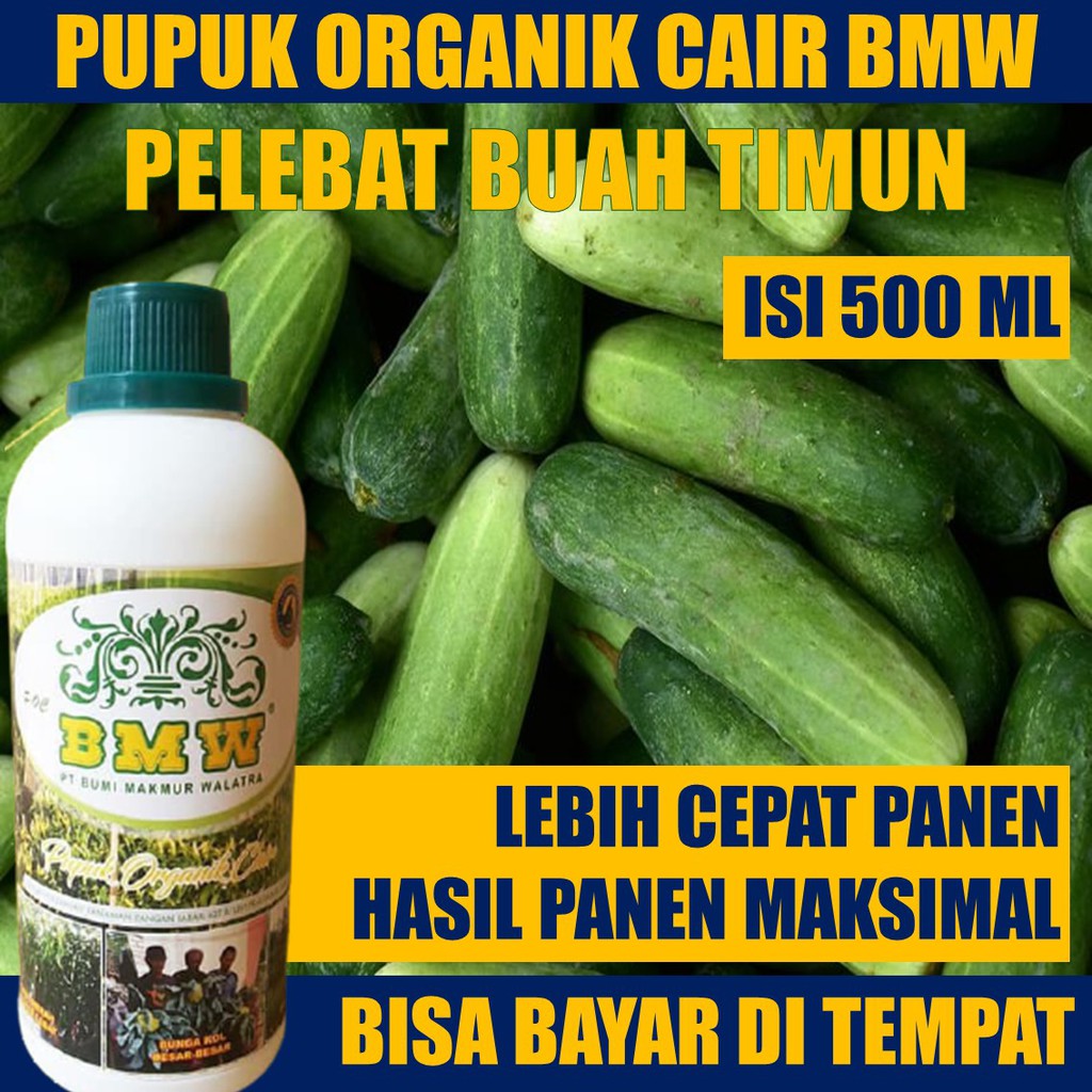 Jual 100 ORIGINAL Obat Pelebat Buah Timun Ampuh Cepat Berbuah dan