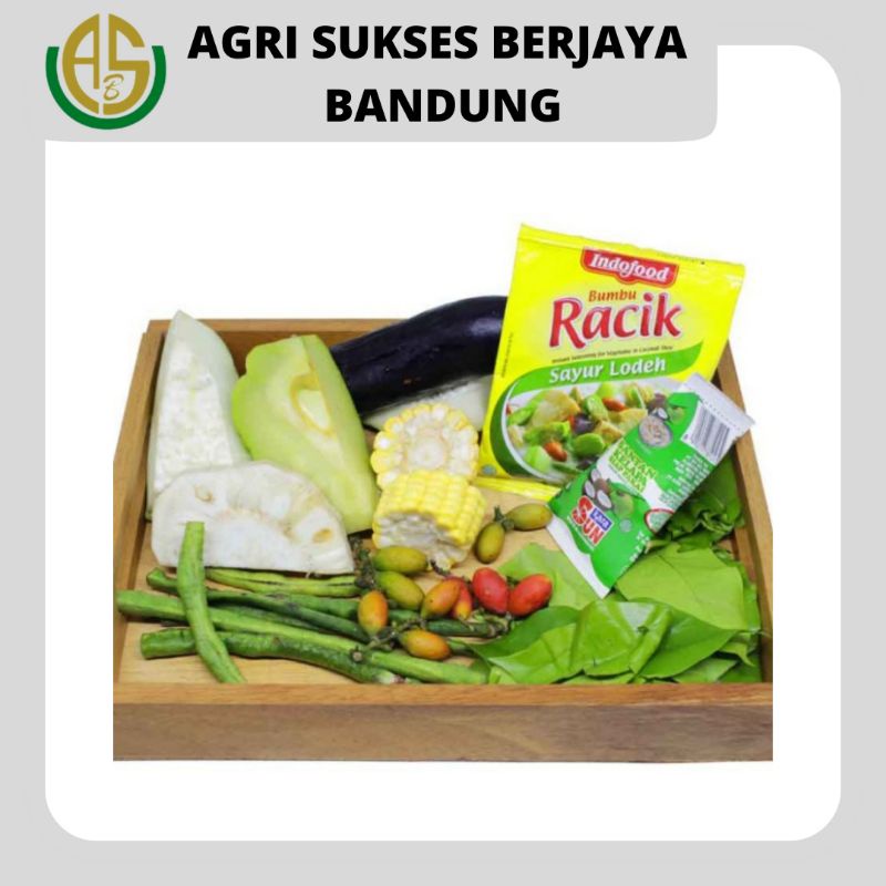 Jual Paket Sayur Lodeh Lengkap Bumbu Racik Dan Santan Shopee Indonesia