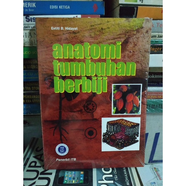 Anatomi Tumbuhan Berbiji Hidayat