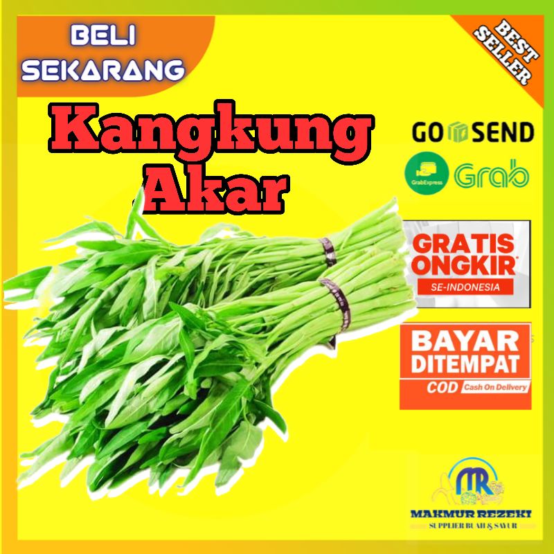 Jual Sayur Kangkung Akar 1 Ikat 100 Gram Shopee Indonesia