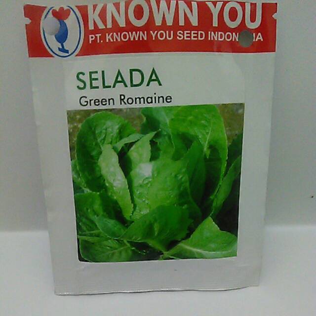 Jual Benih Selada Green Romaine Kemasan Repack Shopee Indonesia