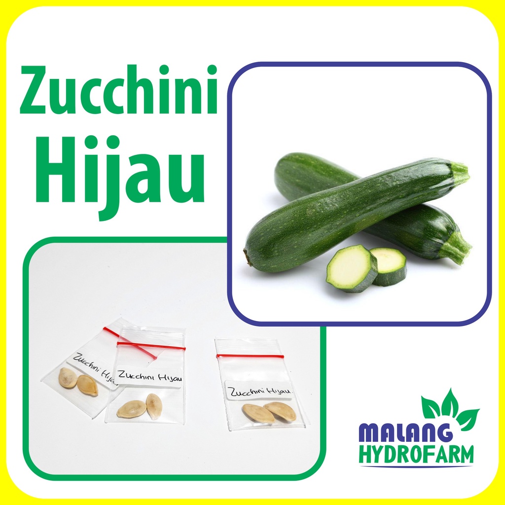 Jual Benih Zucchini Hijau Unggulan kuning berkualitas biji bibit ...