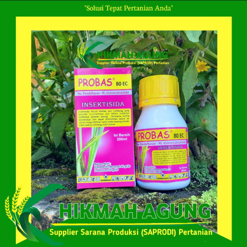 Jual PROBAS 80EC 200ML / insektisida segala jenis ulat | Shopee Indonesia
