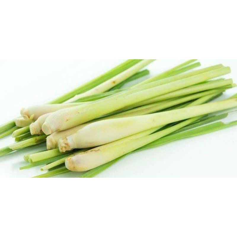 Jual Daun Serai / Daun Sereh / Berat 1 kg / Herbal | Shopee Indonesia