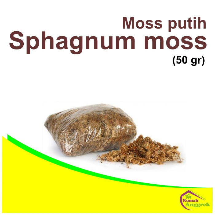 Jual Media Sphagnum Moss 50 gram spagnum spaghnum putih lumut | Shopee ...