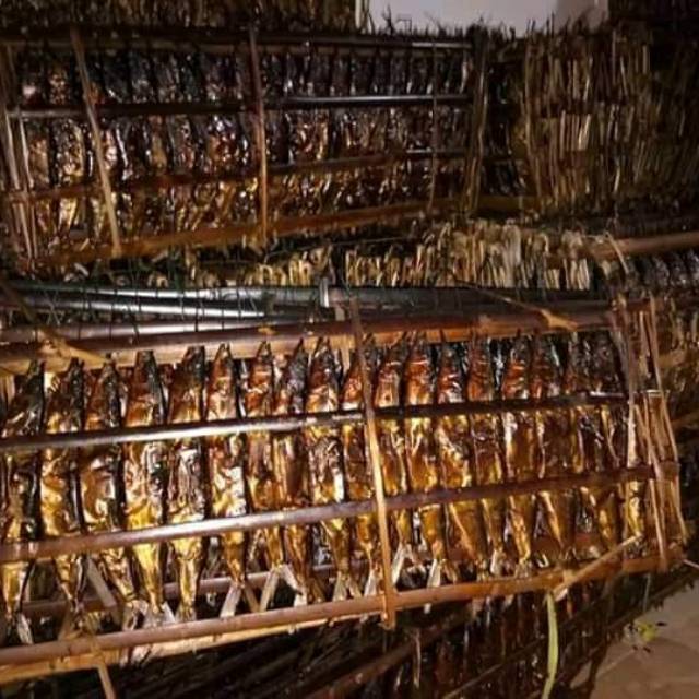 Jual Ikan roa / Sagela Gorontalo / Dry Fish | Shopee Indonesia