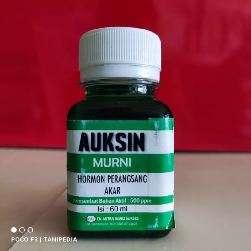 Jual AUKSIN Murni 60 Ml - ZPT Hormon Tanaman Pemacu Akar Auxin - Auksin ...