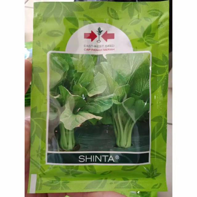 Jual Benih Sawi Caisim Shinta Panah Merah Original Packing Isi 25 Gram