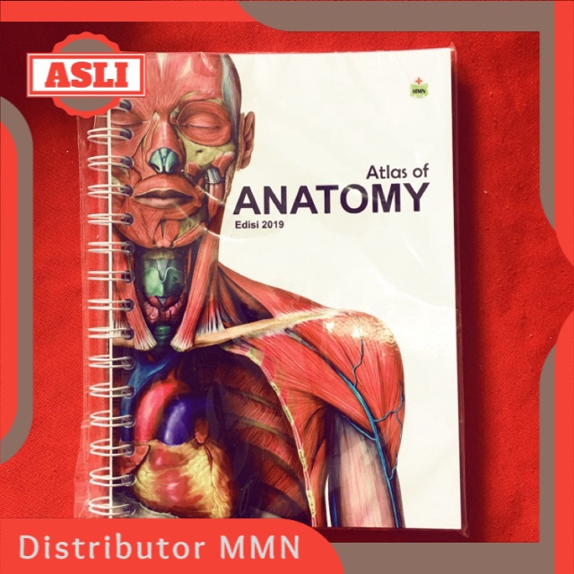 Jual Medical Mini Notes MMN Mini Atlas Of Anatomy (ANATOMI) - Buku Saku ...