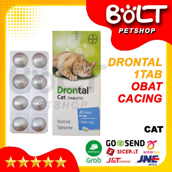 Jual DRONTAL CAT Obat Cacing Kucing 1Tablet | Shopee Indonesia