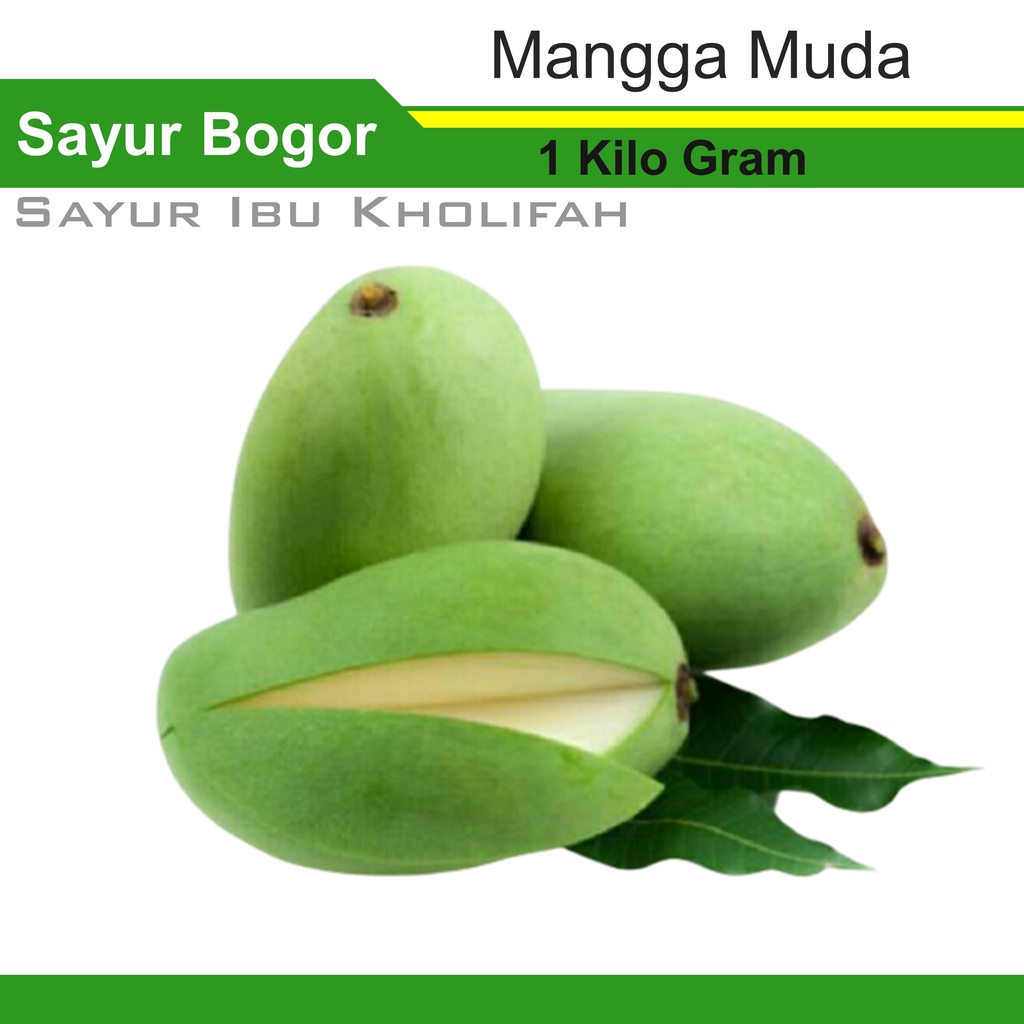 Jual Mangga Muda Rujak 1kg Toko Buah Segar Freshmart Bogor Shopee