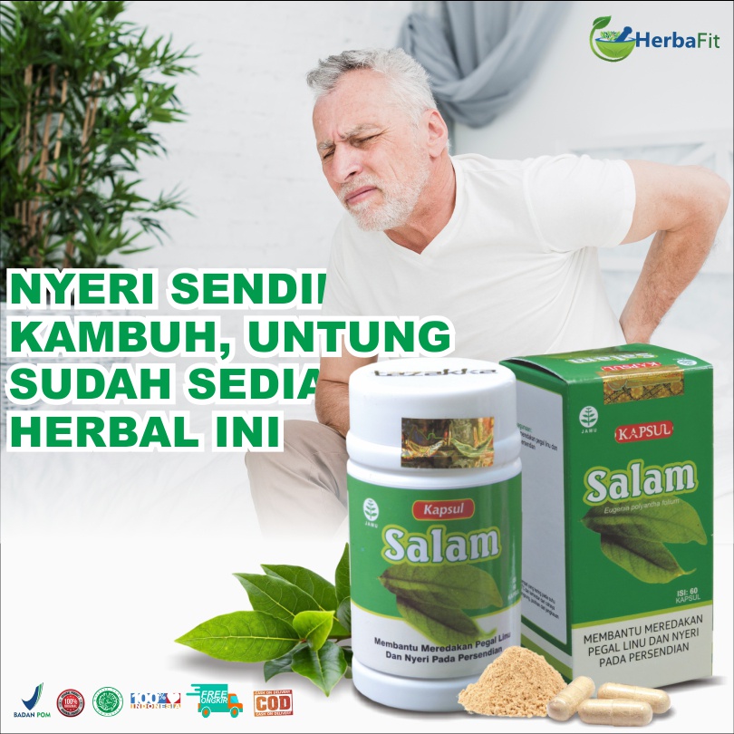 Jual Obat Pegel Linu Dan Nyeri Sendi Kapsul Daun Salam Tazakka Isi 60