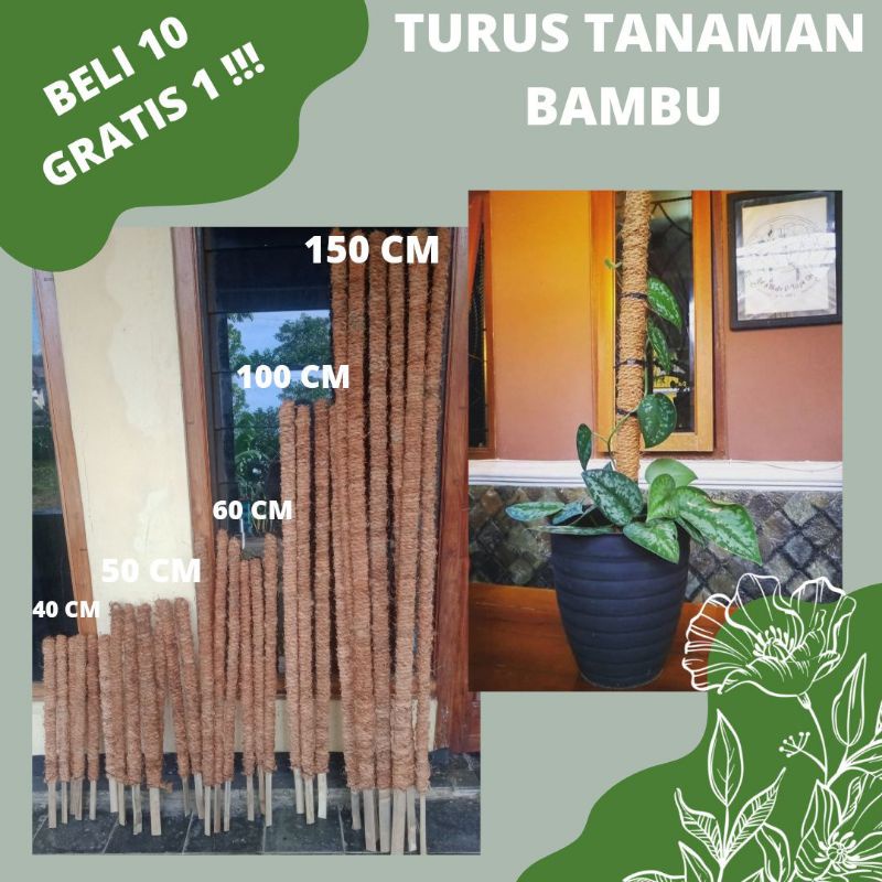 Jual Turus Penyangga Tanaman Rambatan Tanaman Tiang Rambatan Tanaman Murah Bambu Shopee Indonesia 2902