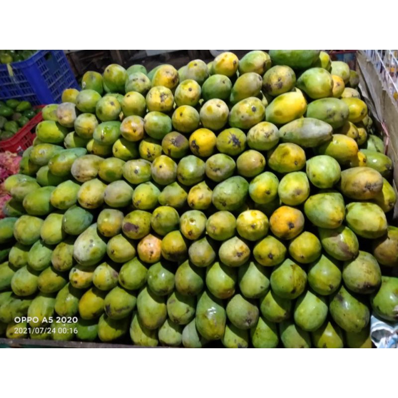 Jual Mangga Harummanis 1kgbuah Segar Bandung Shopee Indonesia 