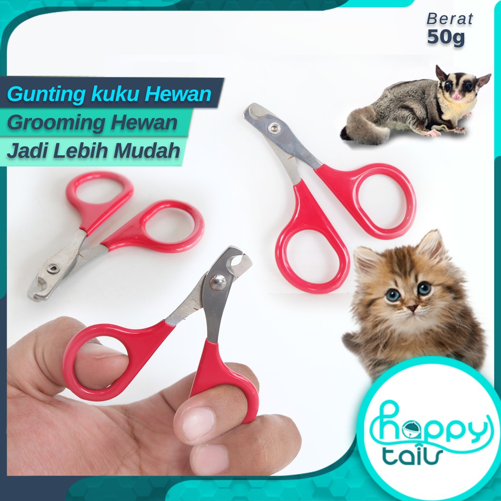 Jual PERAWATAN GROMING KUKU HEWAN PELIHARAAN | GUNTING KUKU KUCING NAIL