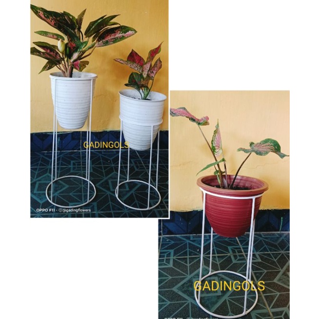 Jual Rak Pot Bunga Besi Rak Tanaman Besi Standing Pot Besi Shopee