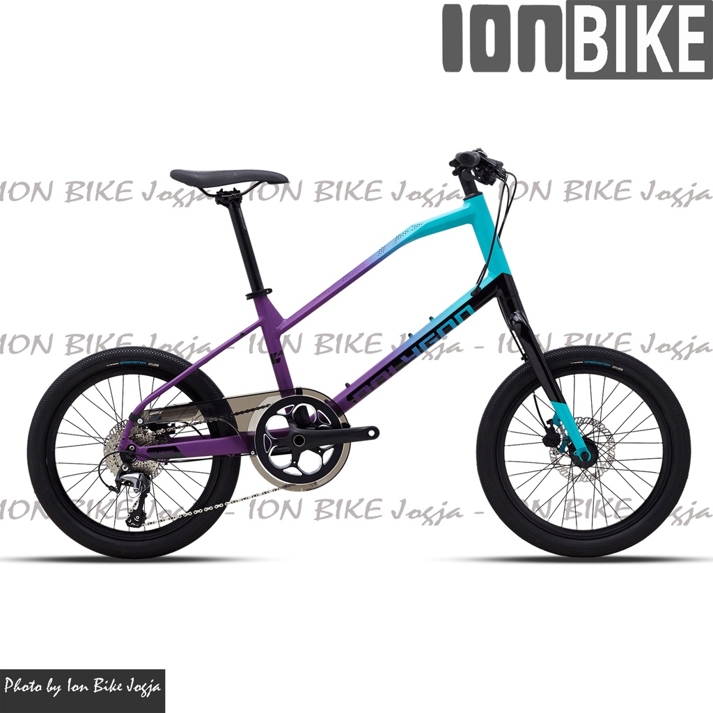 Jual Sepeda Polygon 20 Zeta 2 T Sepeda Mini Velo Minivelo Gili Terbaru Shopee Indonesia