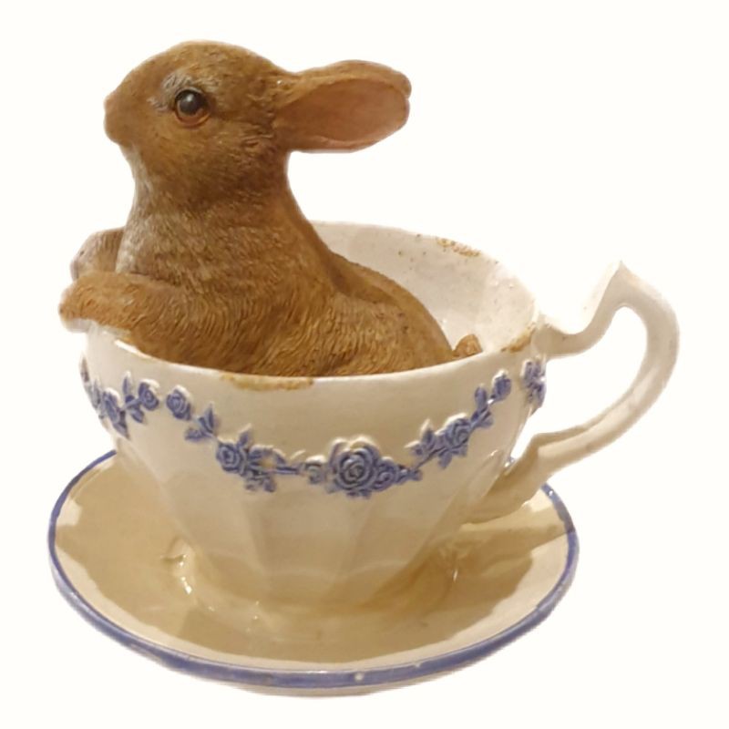 Jual RABBIT IN A TEACUP | Shopee Indonesia