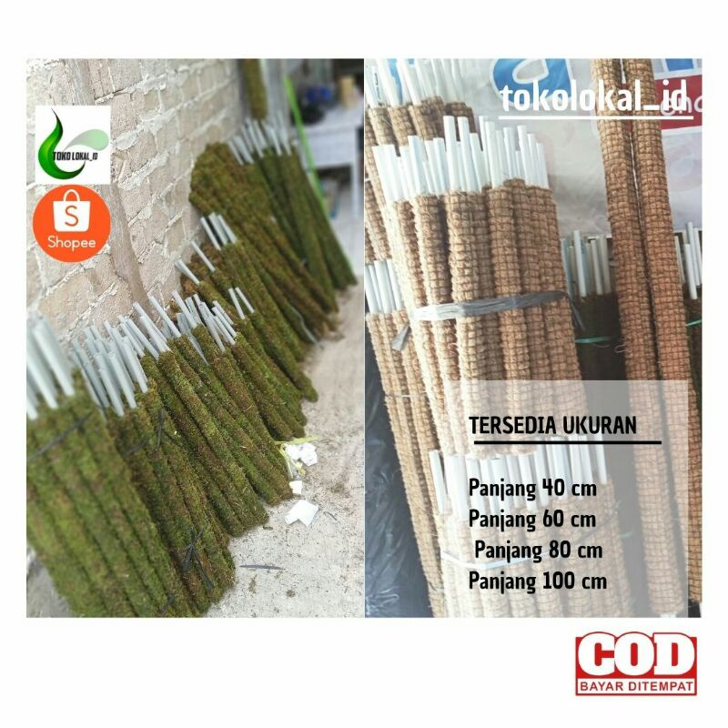 Jual Turus Lumut Cocofiber Sabut Kelapa Ijuk Tiang Pipa And Bambu 100 Cm