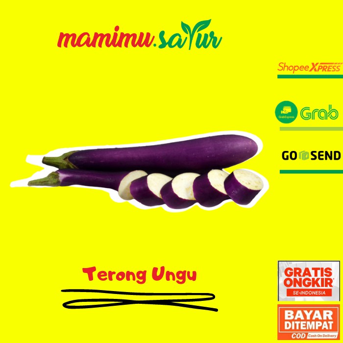 Jual Terong Ungu Terung Eggplant Ungu Sayur Sayuran Segar Fresh Pasar Online Murah Jakarta 1 