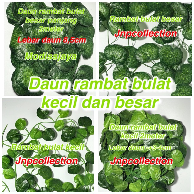 Jual Daun Rambat Bulat Besar Dan Bulat Kecil/Daun Palsu/Bunga Palsu ...