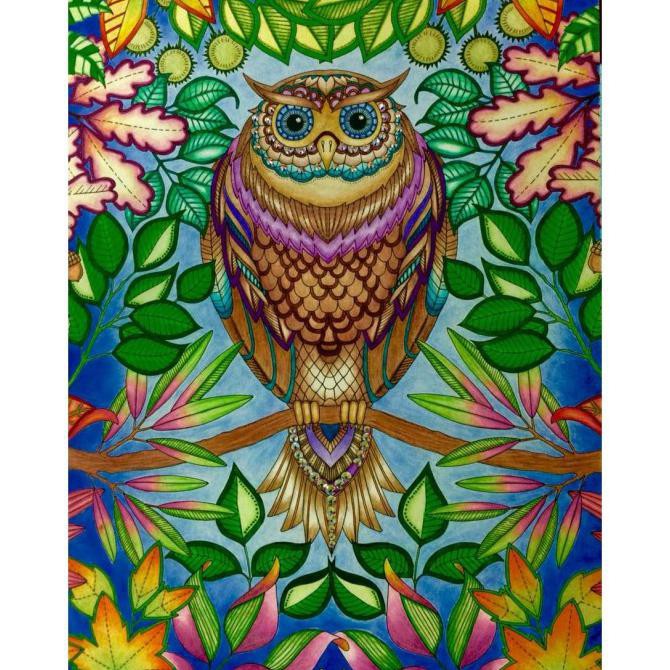 Jual Secret Garden Artists Edition By Johanna Basford Adult Coloring