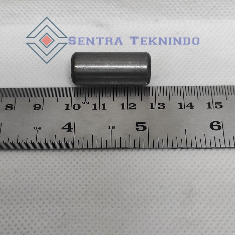 Jual Plunger Pin 30 / Pin Piston Power Sprayer Sanchin Sc Scn 30 ...
