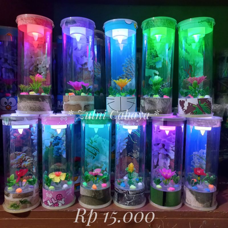 Jual Aquarium Mini Lengkap Dengan Lampu LED 3wat Dan Asessoris Didalam ...