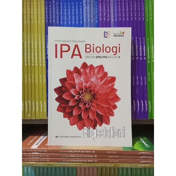 Jual Buku IPA Biologi Kelas 10/X SMA Erlangga Kurikulum Merdeka ...