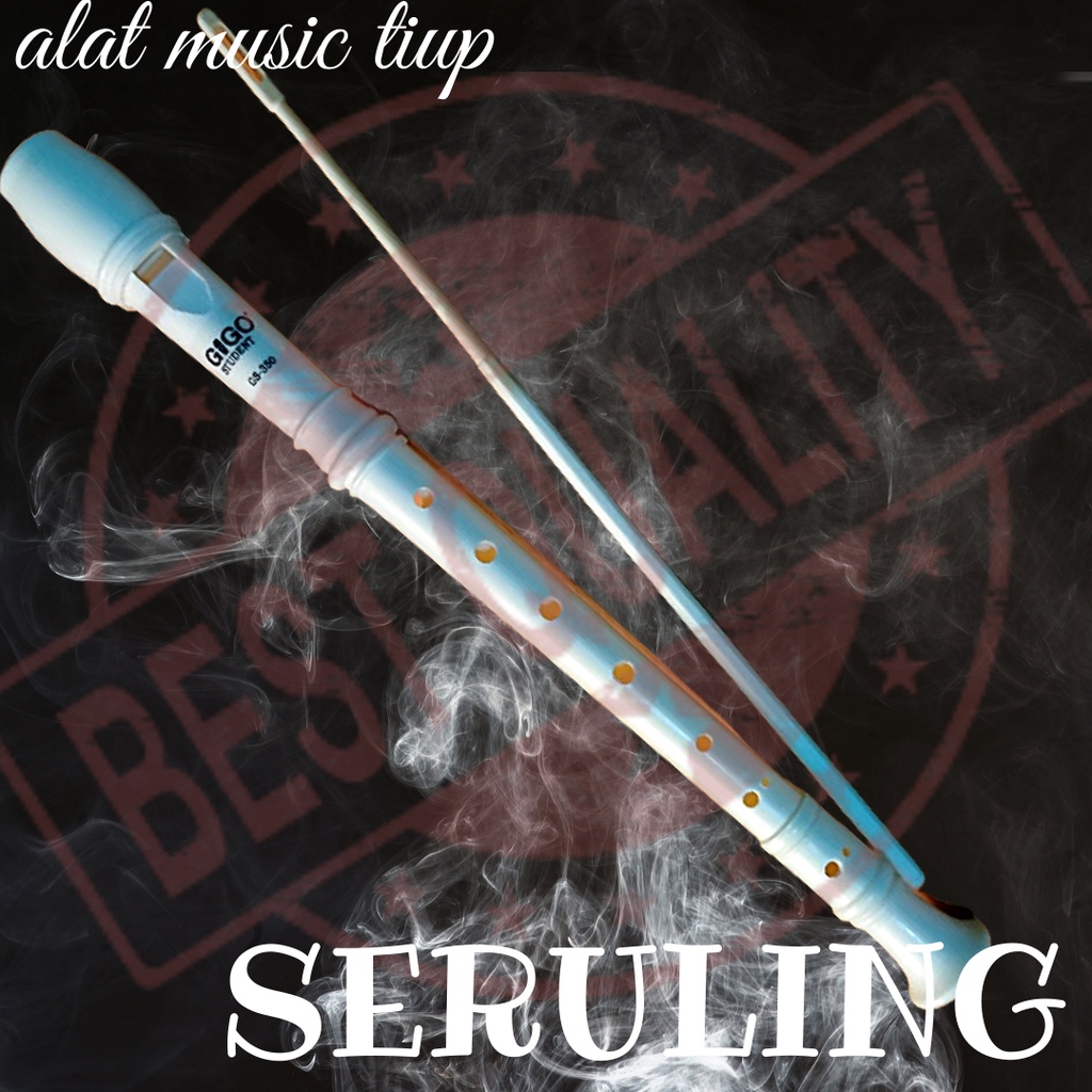 Jual KWALITAS TERBAIK ALAT TIUP SERULING RECORDER | Shopee Indonesia