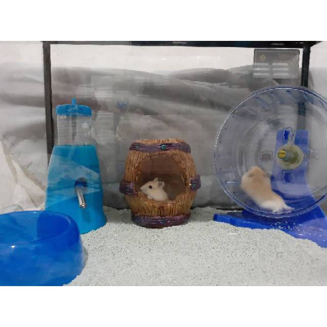 Jual Aquarium hamster large fullset | Shopee Indonesia