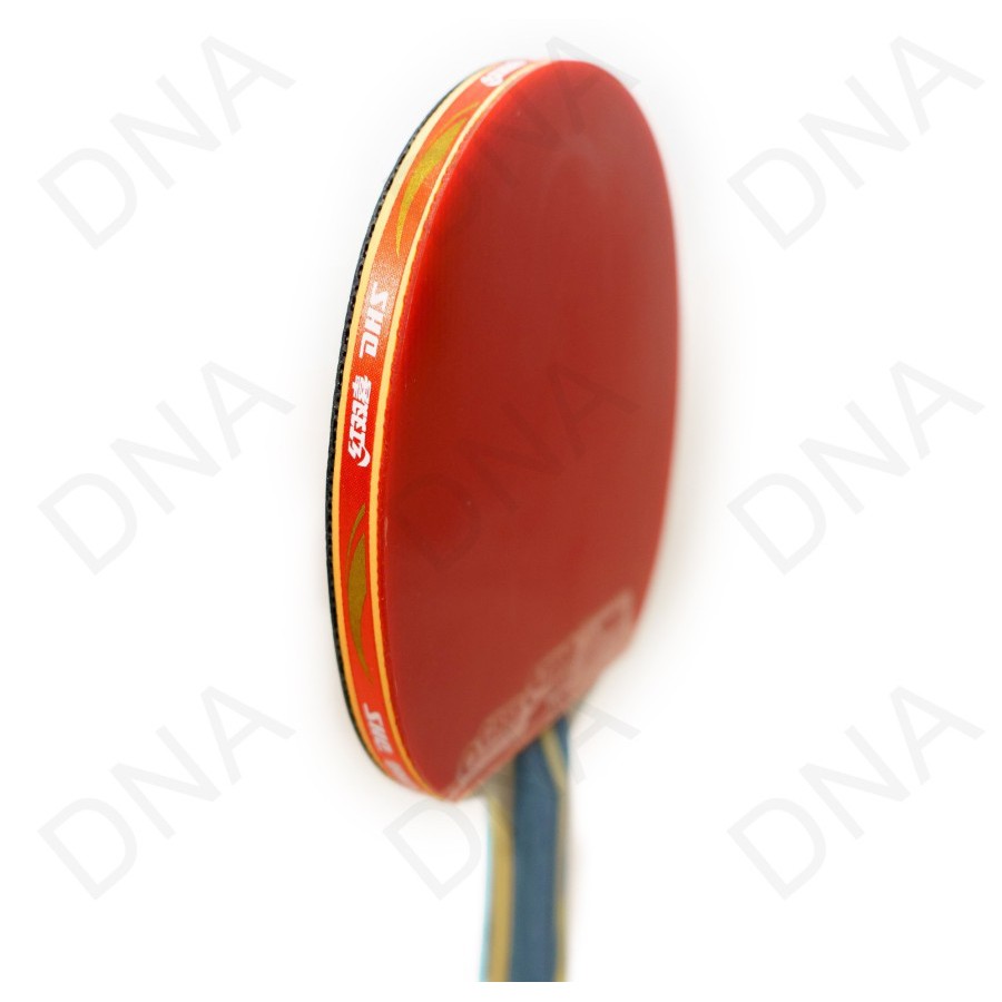Jual Table Tennis Racket DHS 4002C (CARBON) / Bat Tenis Meja DHS ...