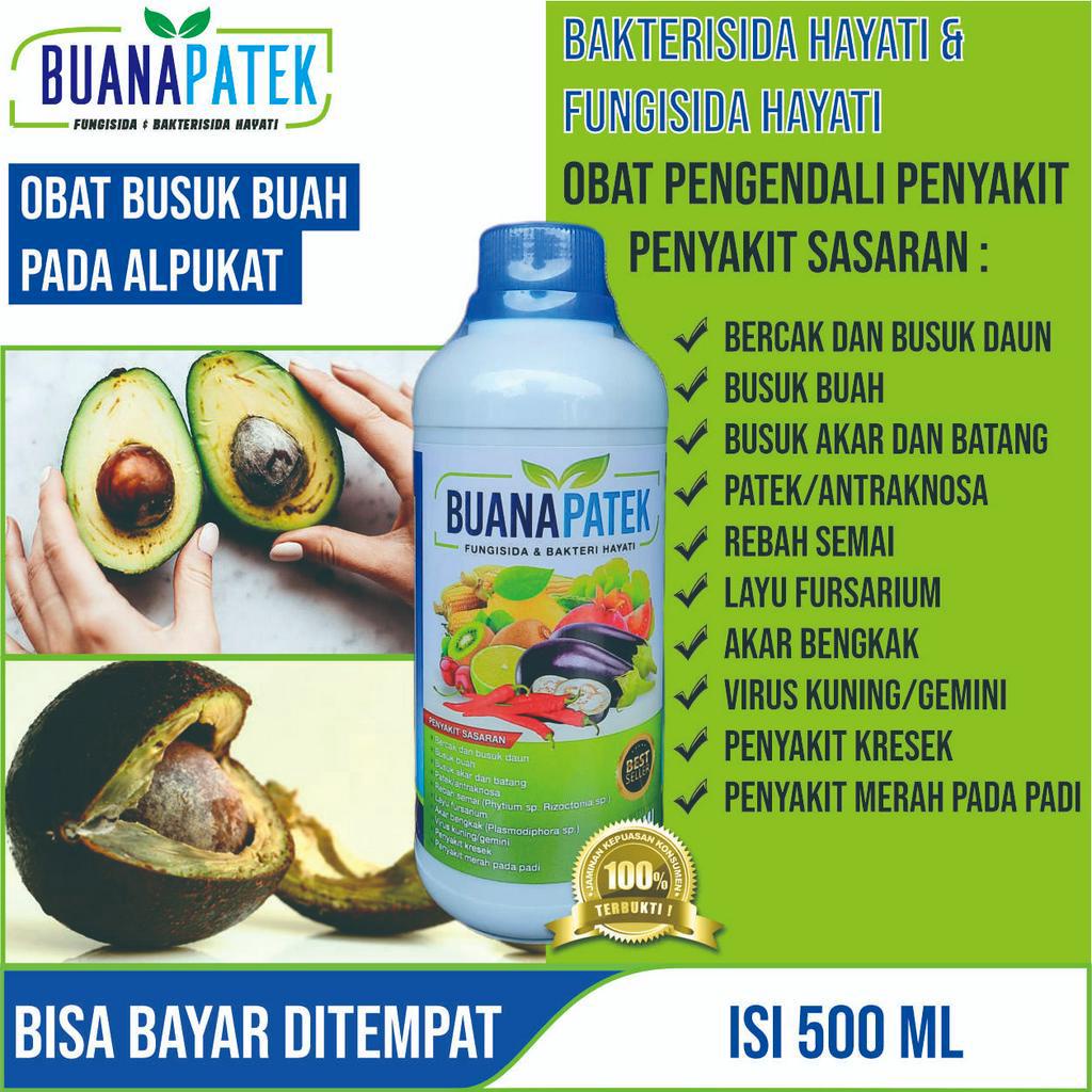 Jual Buanapatek Ml Fungisida Hayati Obat Busuk Buah Pada Buah