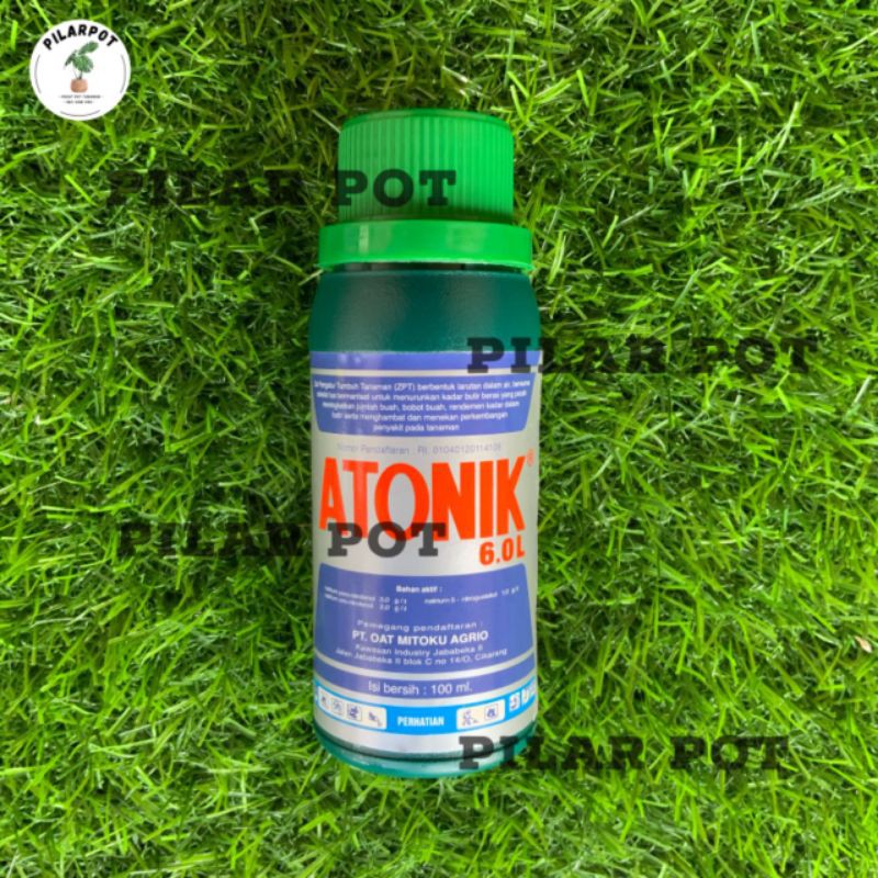 Jual PUPUK CAIR ATONIK 6.0L ZPT ZAT PENGATUR TUMBUH 100 ML - KEMASAN ...