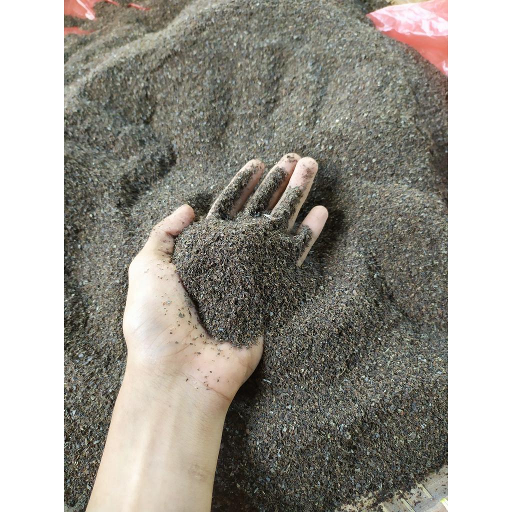 Tepung rumput laut sargassum