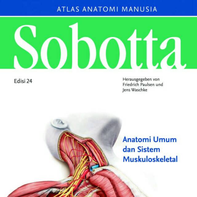 Jual Atlas Anatomi Manusia SOBOTTA Edisi 24 | Shopee Indonesia