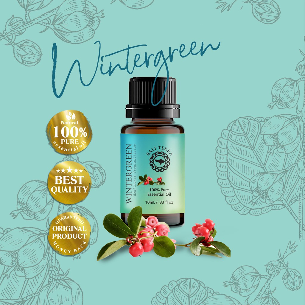 Jual Wintergreen Minyak Esensial Atsiri Asli 100 Pure Essential Oil