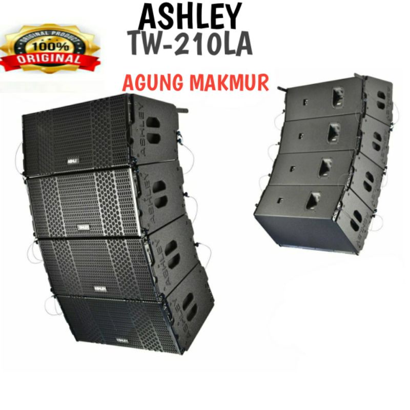 Jual Speaker Line Array Ashley TW 210 LA Original Passive Array TW