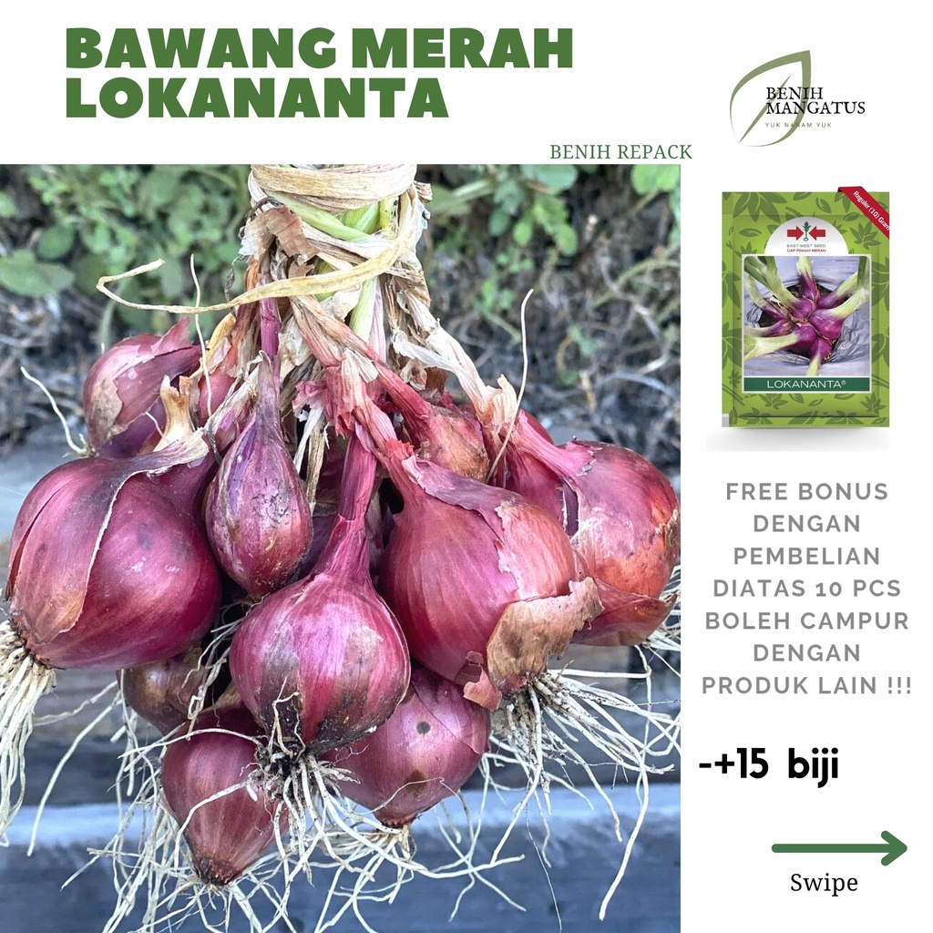 Jual D_33 Benih BAWANG MERAH LOKANANTA -+15 BIJI Tanaman Sayuran MURAH ...