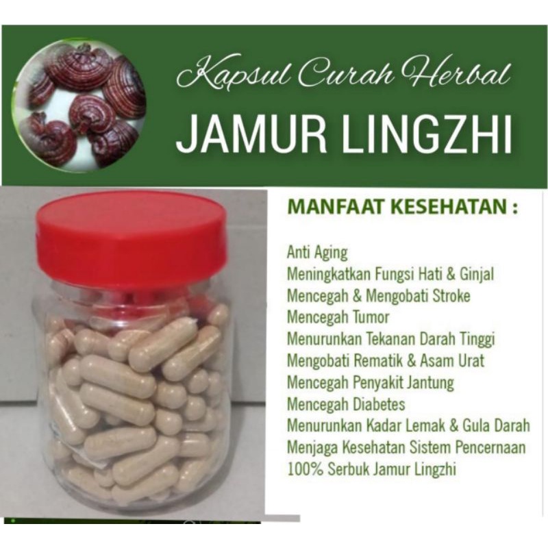 Jual JAMUR LINGZHI 100 KAPSUL FUNGSI DAN HATI KEMASAN BOTOL Shopee