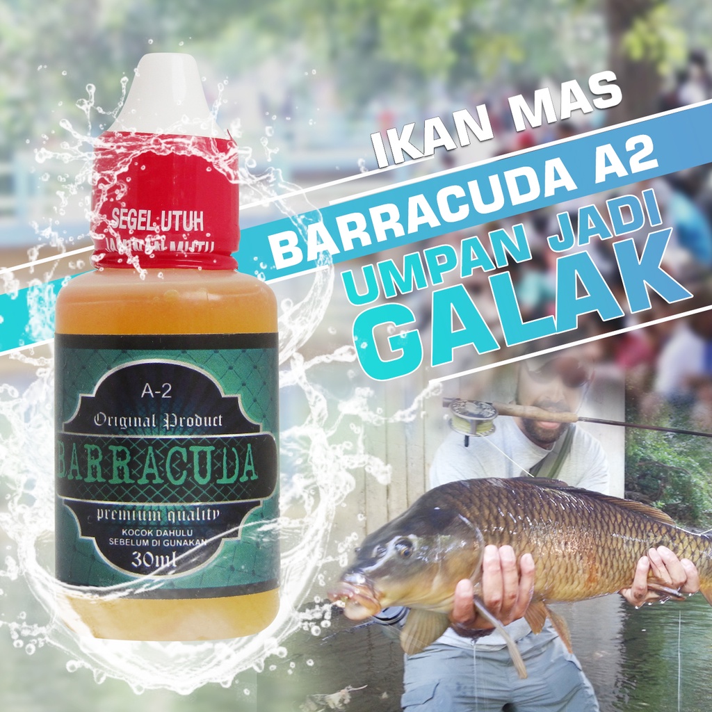 Jual Barracuda A2 Essen Ikan Mas Harian Kilo Gebrus And Lomba Galatama